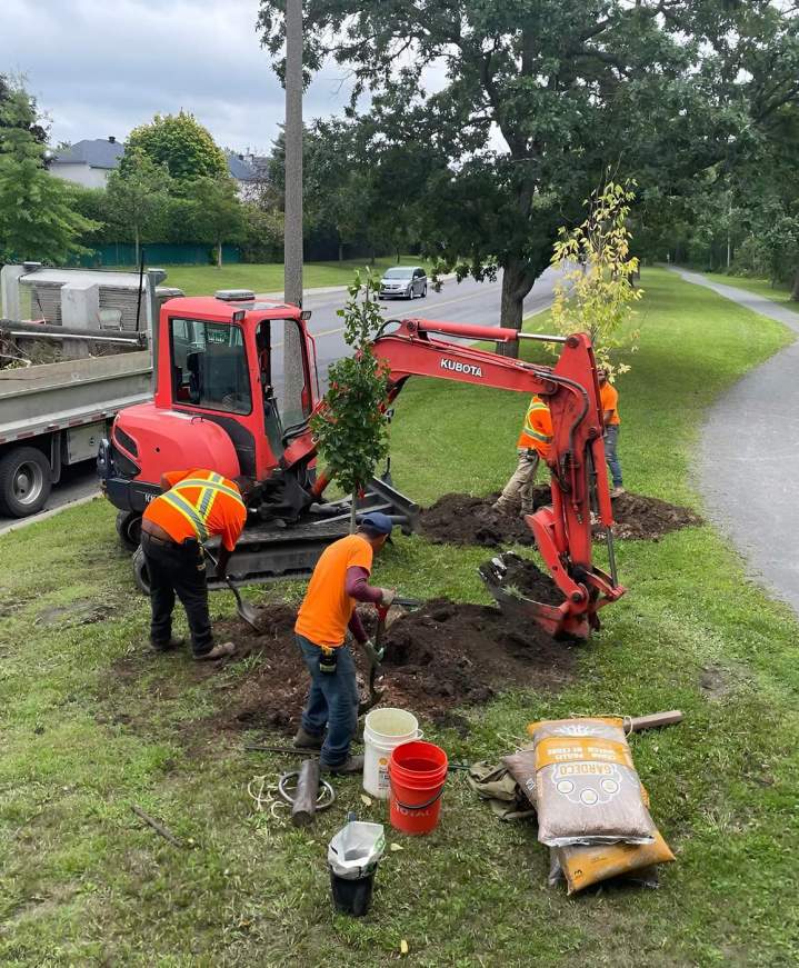 Votre jardin de rêve.
