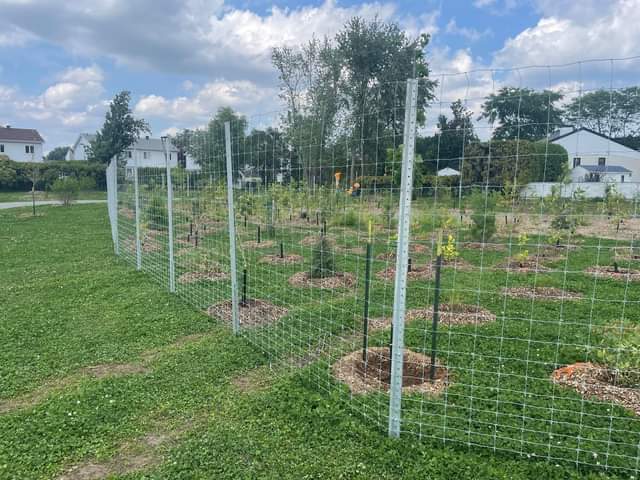 Conception de jardin Saint-Jean-sur-Richelieu